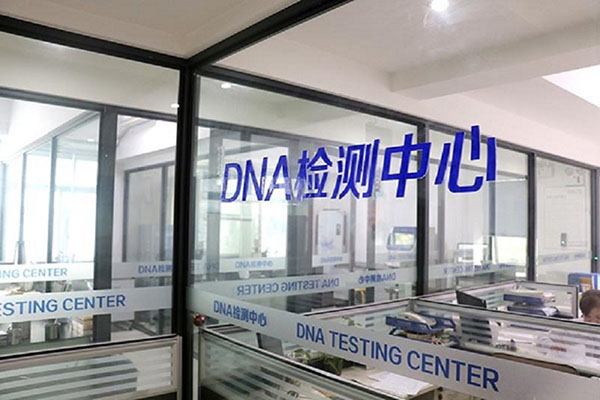 黄山全国统一采血DNA入库（一探全国DNA数据库的建设和运行机制） 